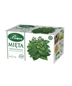 Herbatka mięta ECOFAMILLY expr.BIO 35gherbatka ziołowa BIFIX